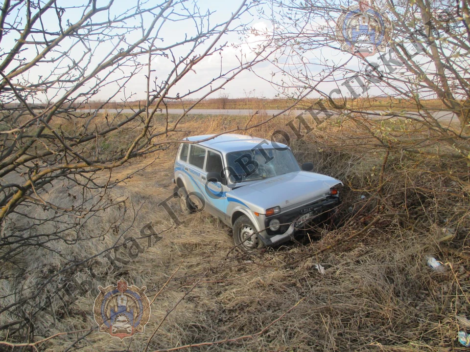 Автоледи слетела в кювет с трассы в Тульской области