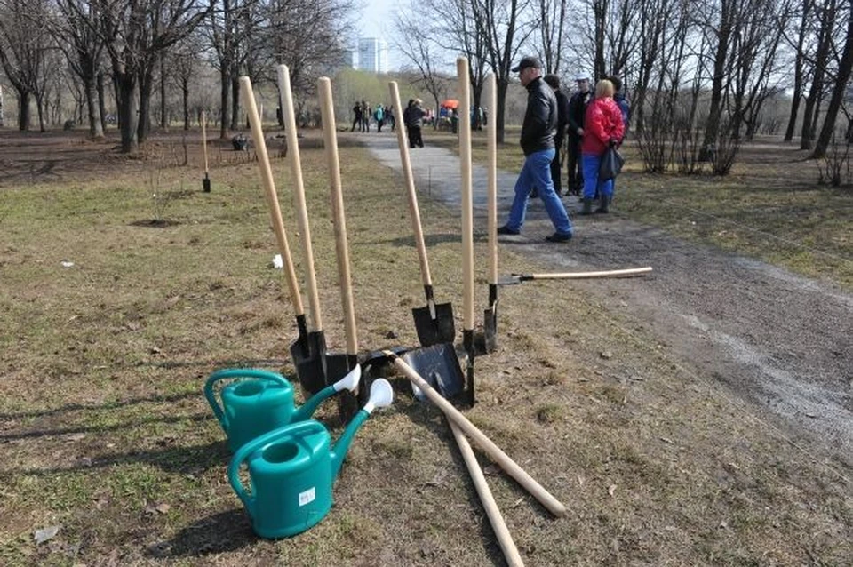 Волгоградцев зовут присоединиться к уборке города.
