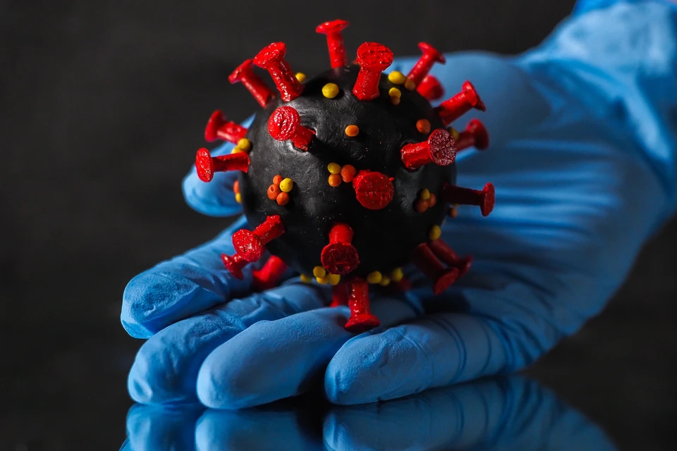 Новый штамм коронавируса специалисты НИИ Пастера обнаружили месяц назад.