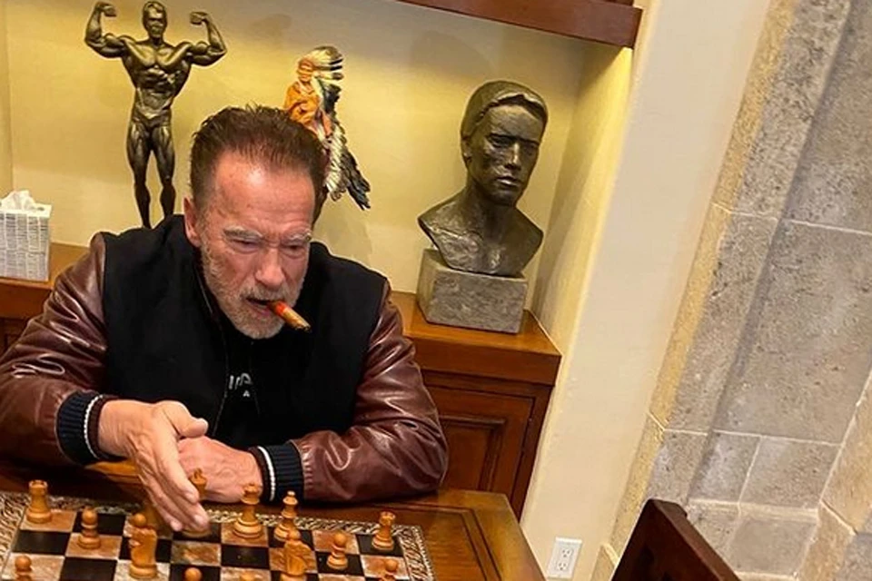 Арнольд Шварценеггер - большой любитель шахмат