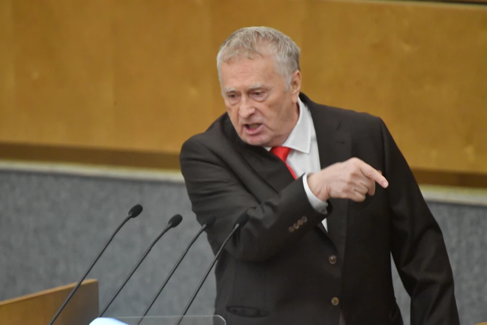 Жириновский: Березовский хотел устроить провокацию против Путина