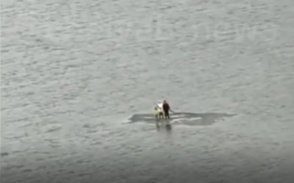 Льдину с детьми унесло на середину пруда. Фото: скрин с видео