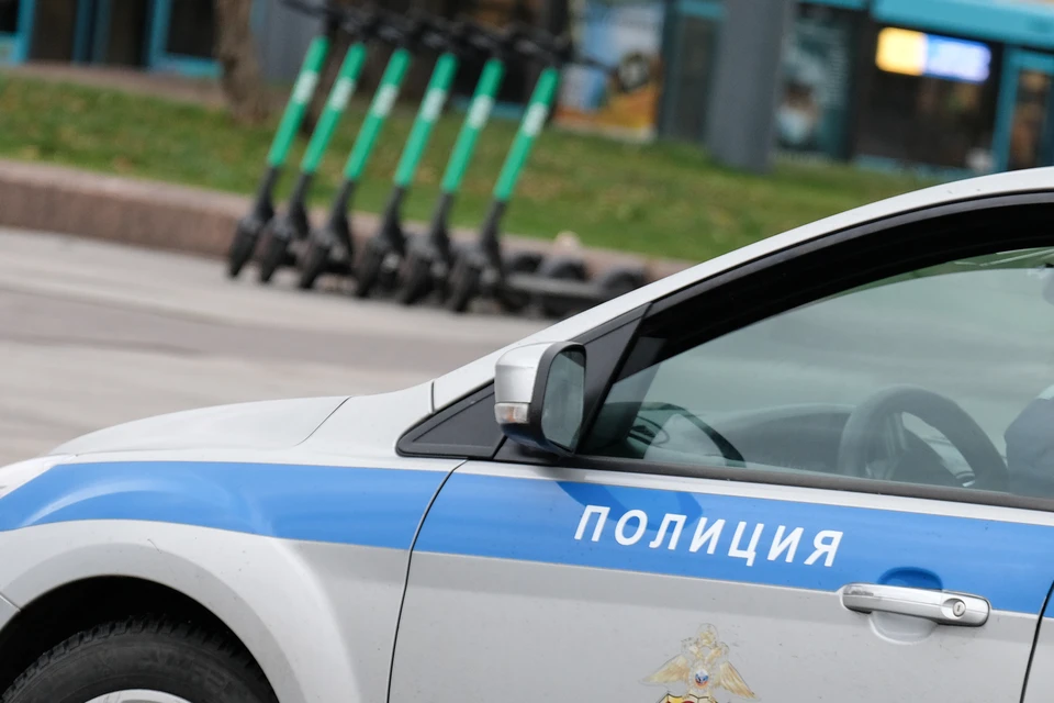 Силовики опровергли информацию о захвате садоводства в Ленобласти
