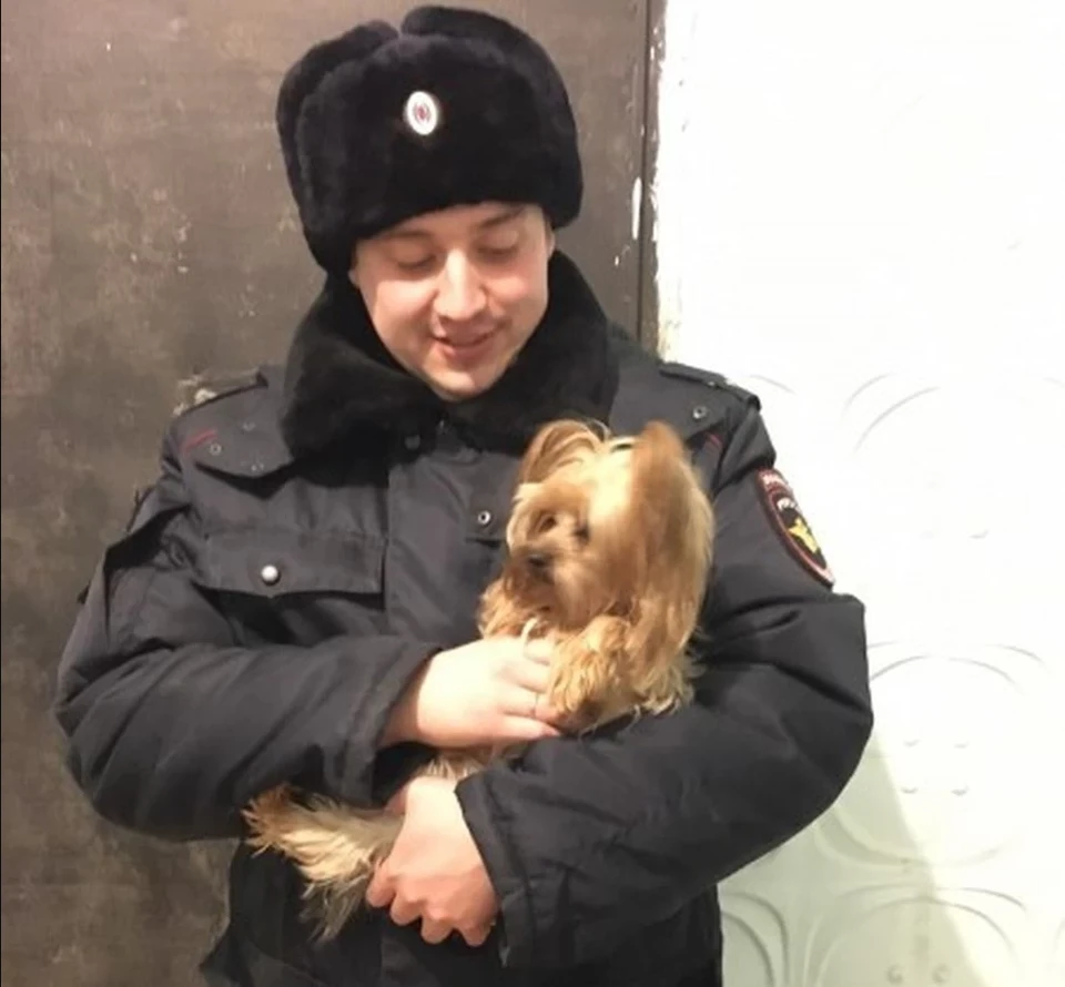 Полицейский не дал собаке умереть от жажды и голода. Фото: ГУ МВД по Челябинской области