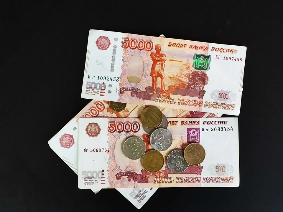 Деньги направят на лечение детей, поддержат многодетные семьи