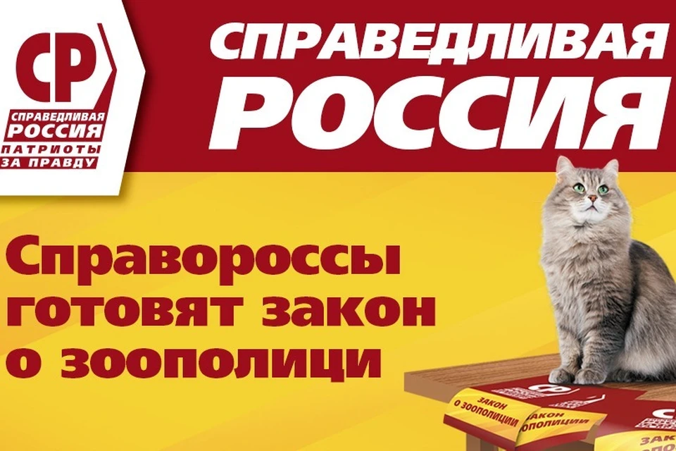 Фото: Справедливая Россия.