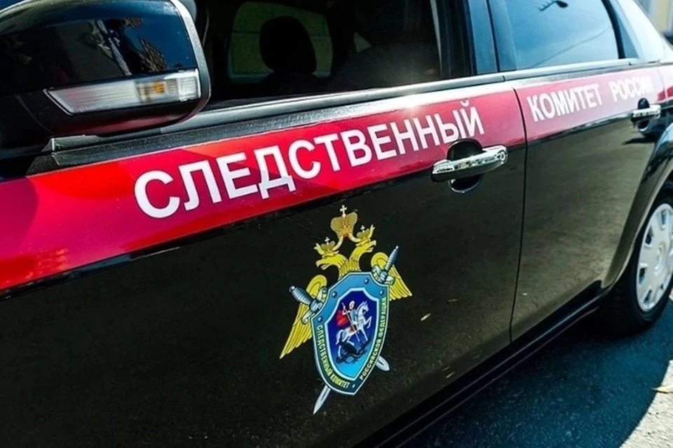 В отношении подозреваемых возбуждено уголовное дело по трем статьям.