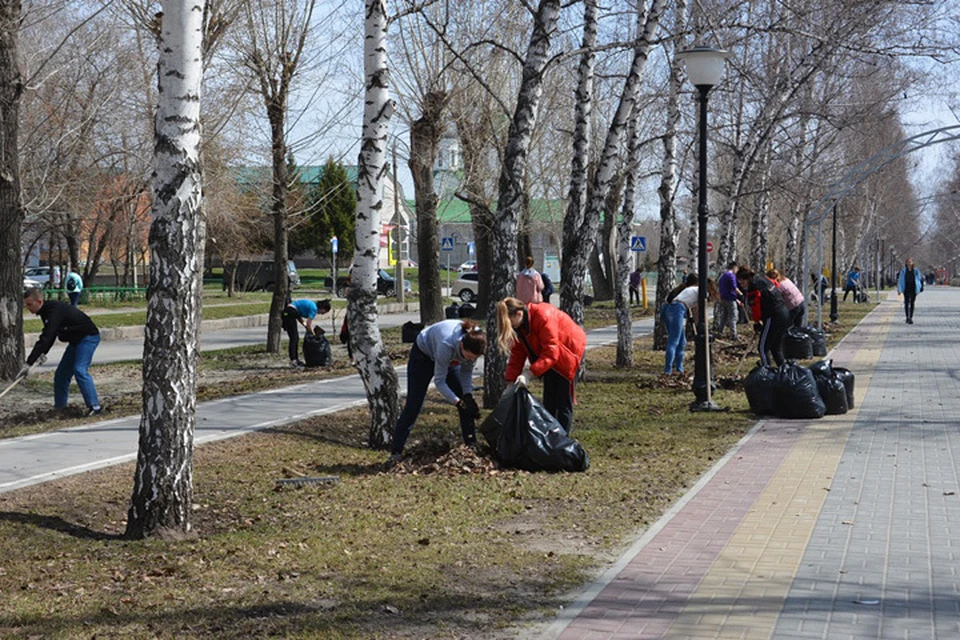 Общегородской субботник