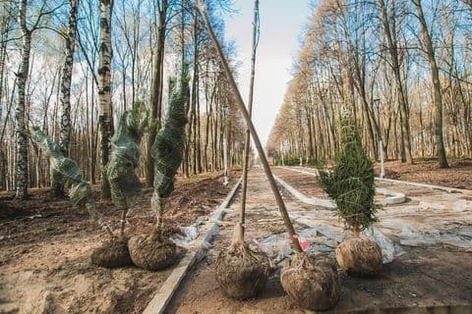 Озеленение парка "Швейцария" началось в Нижнем Новгороде. ФОТО: Instagram парк "Швейцария"