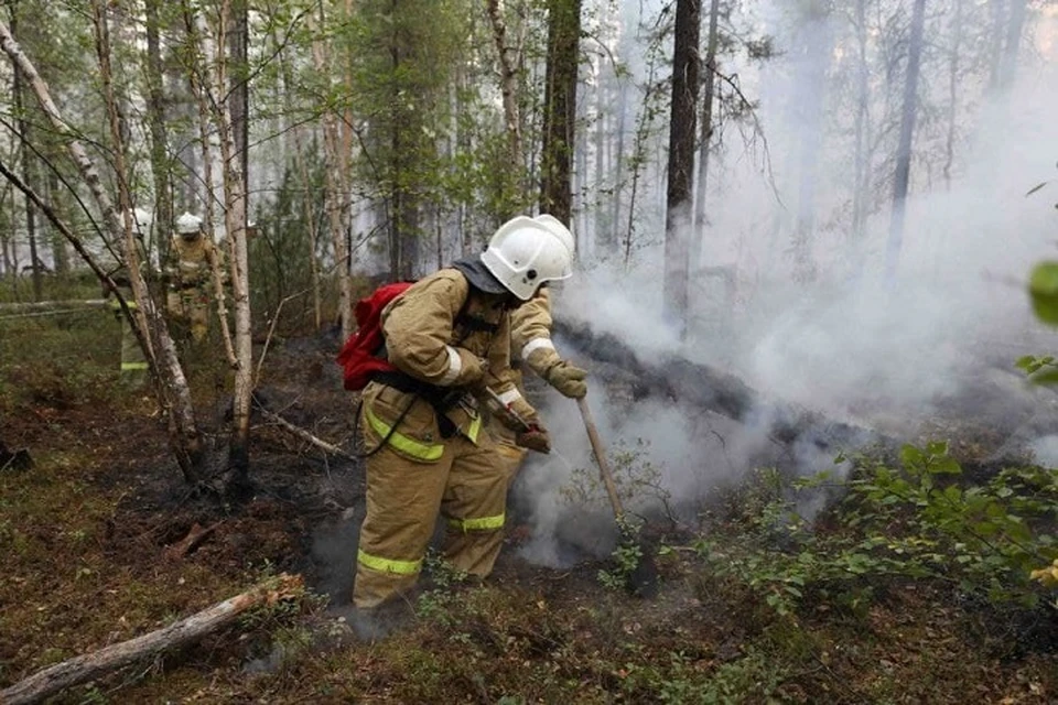 В Хабаровском крае потушены все лесные пожары. Фото: пресс-служба правительства Хабаровского края.
