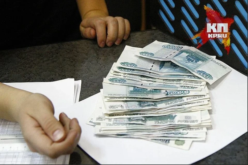 Компании планируют заниматься переработкой вторсырья, добычей полезных ископаемых, машиностроением, сельским хозяйством и другими видами деятельности.