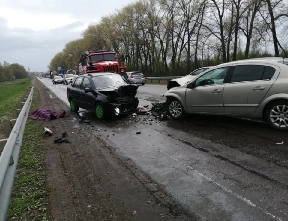 Фото Натальи Мальцевой, опубликовано в группе «Мой и твой Воронеж»