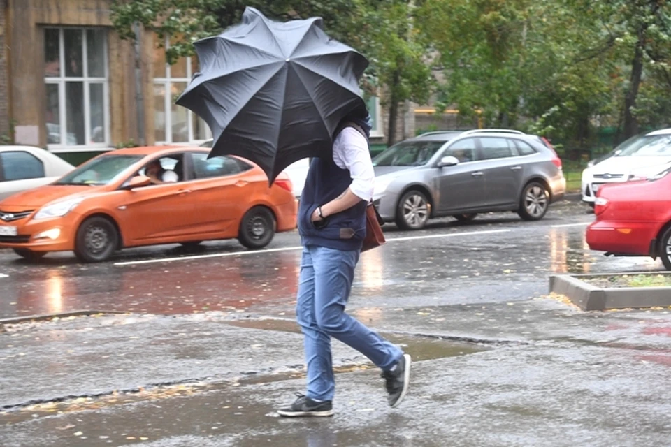 В среду вновь будет ветренно.