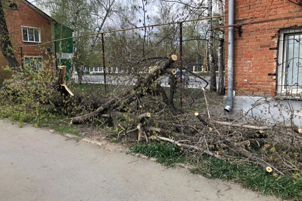 Вывозить их не торопятся