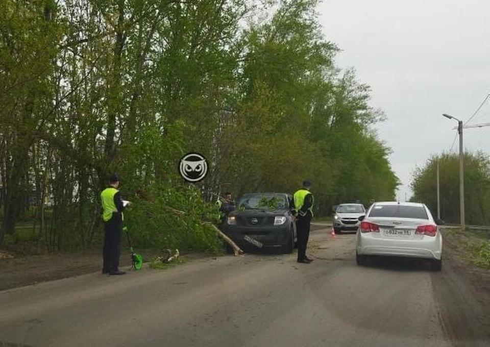 Фото: сообщество «Сова Пенза Авто» в социальной сети «ВКонтакте»