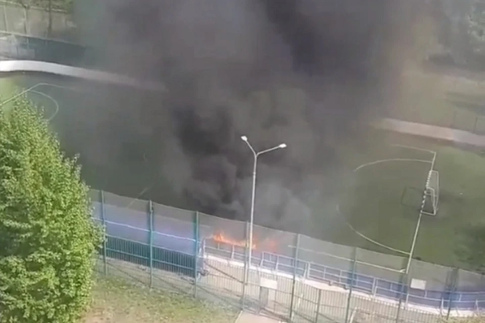 Фото: скриншот с видео