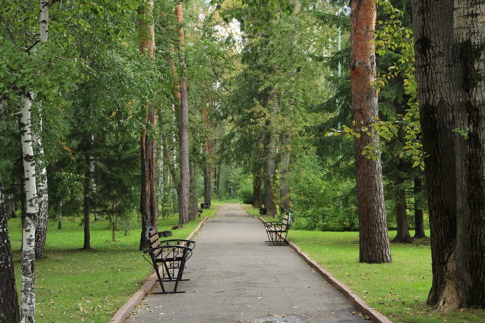 Городской парк томск