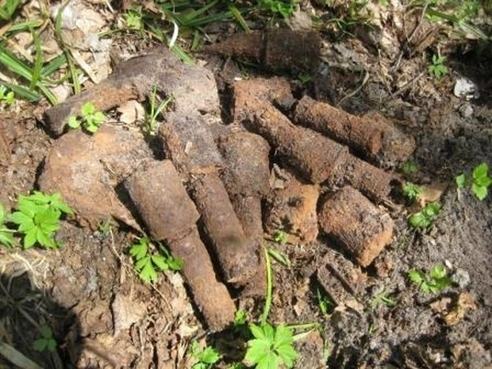 За сутки на Смоленщине спасатели обезвредили 81 снаряд времен ВОВ. Фото: ГУ МЧС России по Смоленской области.
