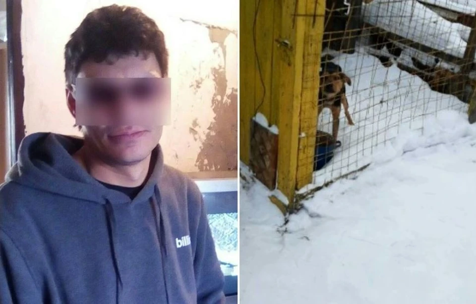 Зимой собака Виталия родила щенков. С одним из них он и расправился.