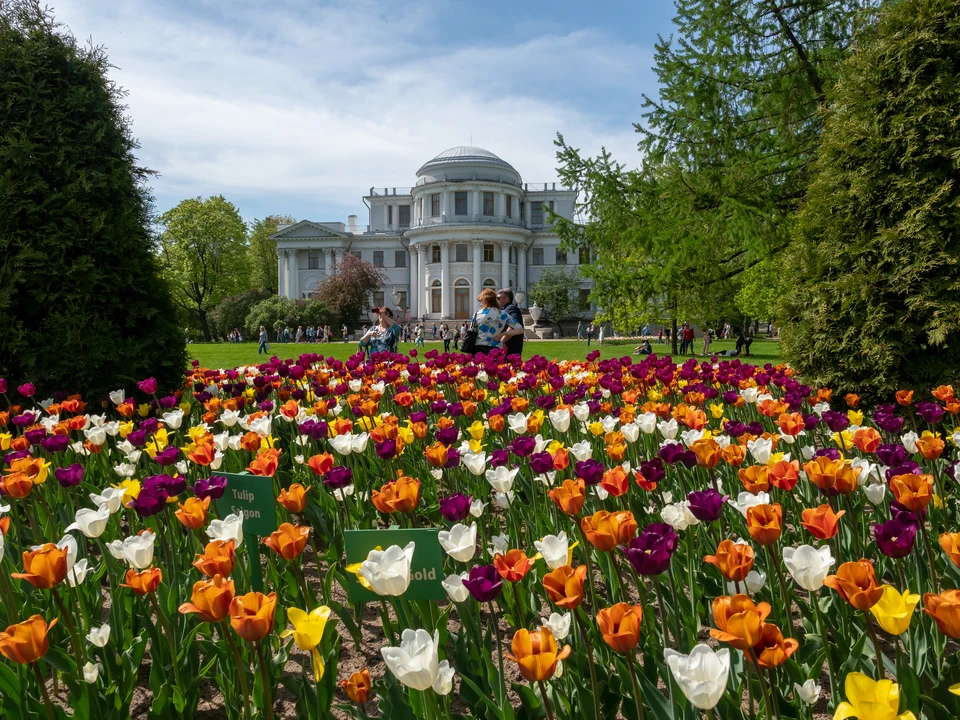 Парк цпкио в спб фото