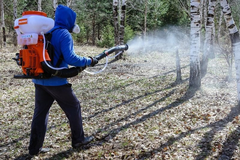 В Ижевске обрабатывают парки и скверы от клещей