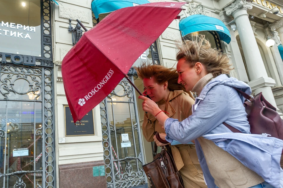 МЧС предупредило жителей Ленобласти и Петербурга о сильном ветре