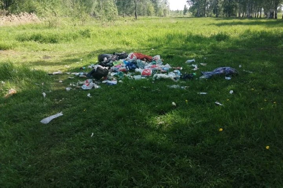 После отдыха ярославцы оставляют за собой груды мусора. ФОТО: группа "Жесть Ярославль" ВКонтакте