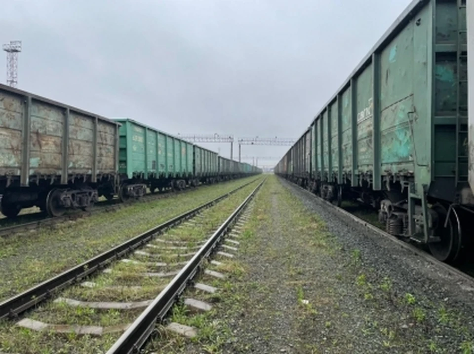 На станции в Сургуте мужчина попал под грузовой поезд Фото: Уральское СУ на транспорте СК РФ