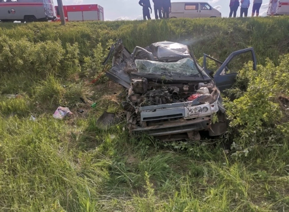 В ДТП в Навлинском районе погибли 36-летняя женщина и 10-летняя девочка. Фото: УГИБДД УМВД России по Брянской области.