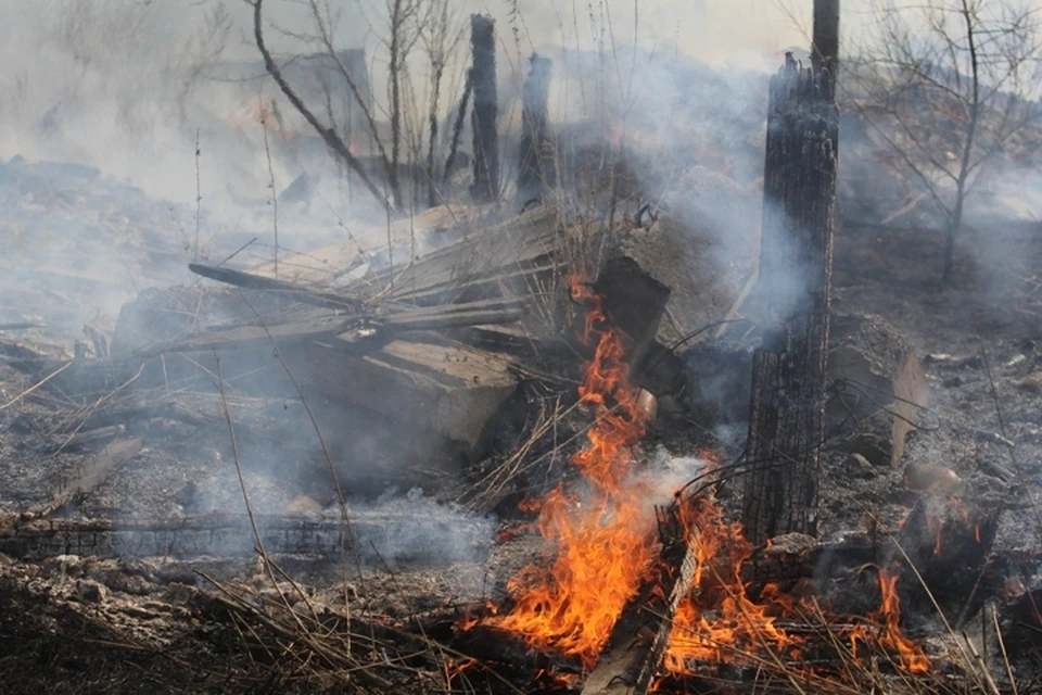 Лесной пожар в 5 км от поселка Мамакан локализован на площади 78 гектаров в Иркутской области