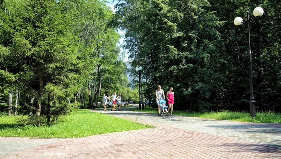За окном сейчас +17, солнечно. Днем также ожидается погода без осадков, будет довольно жарко. Ухудшение погодных условий синоптики прогнозируют с четверга: похолодает, пройдут дожди. Фото Валерия Доронина, пресс-служба администрации Томска.