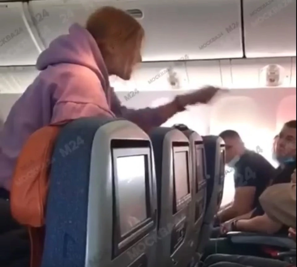 Россиянка кричала и возмущалось прямо во время полета. Фото: Скриншот из видео