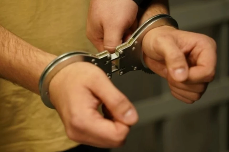 В этот раз в Нахимовском суде его приговорили к 11 месяцам лишения свободы