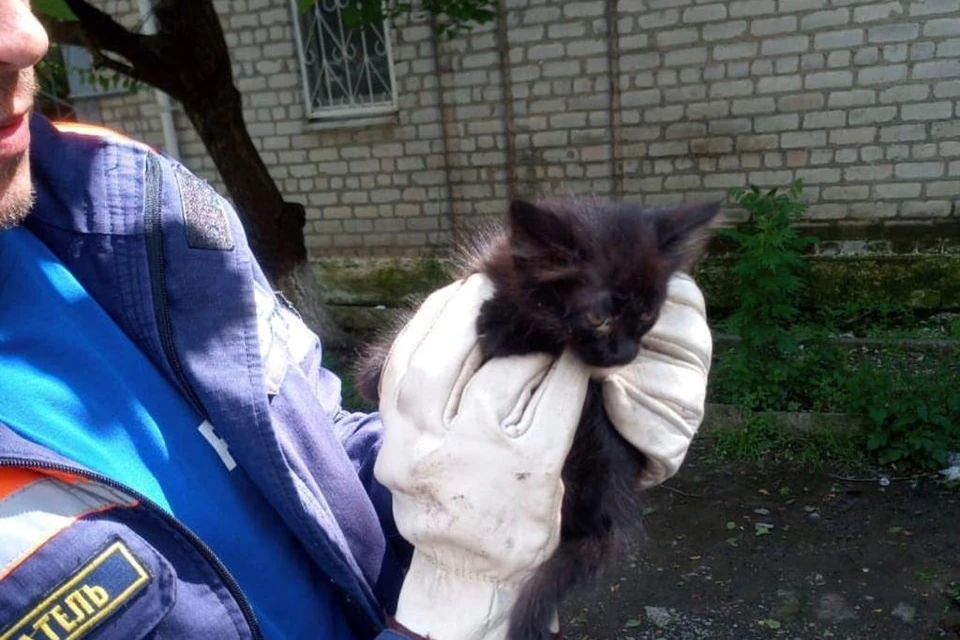 Фото: Алексей ОДЕРОВ.