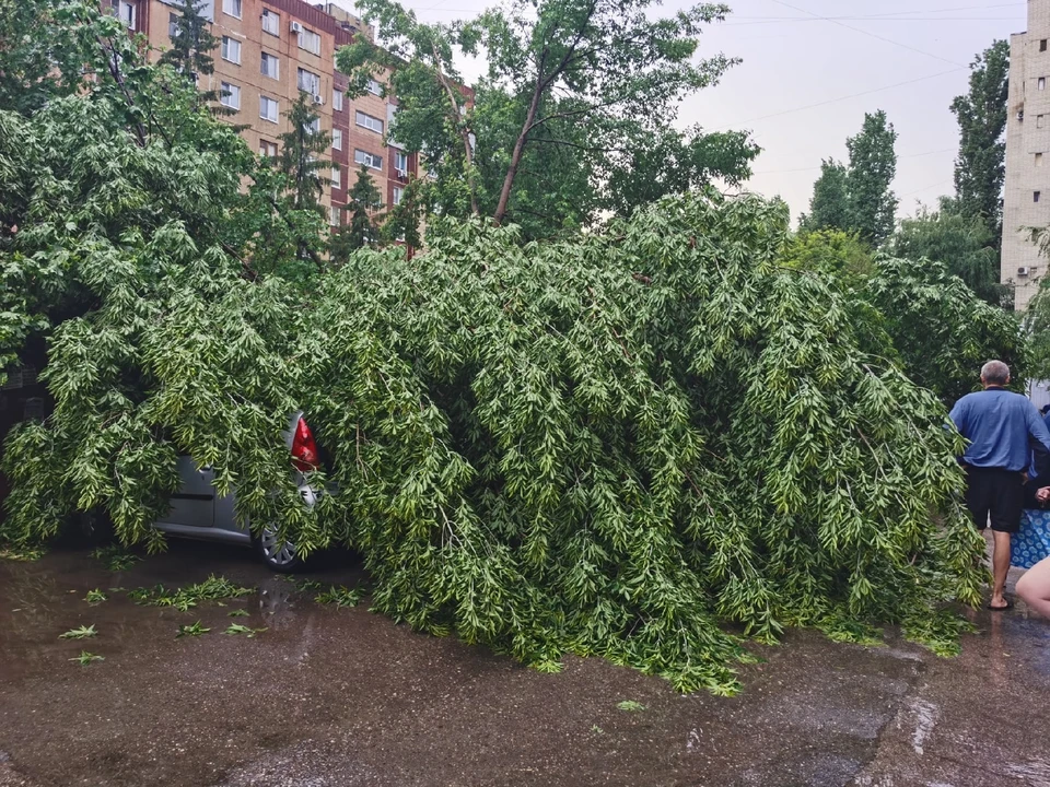 Фото из соцсетей
