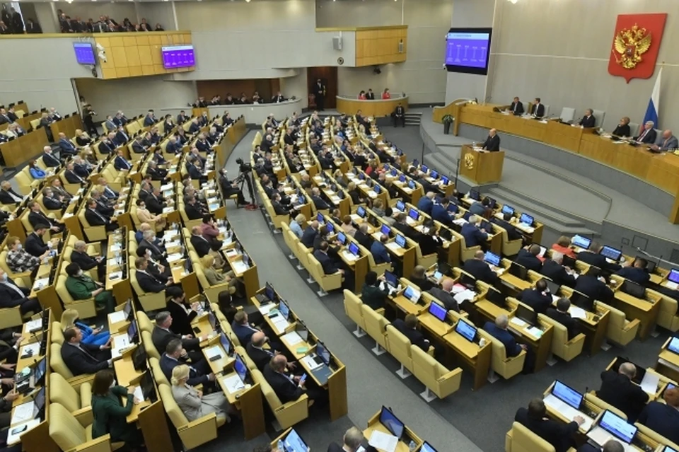 В Государственной думе предложили ввести прибавку к пенсии для многодетных родителей