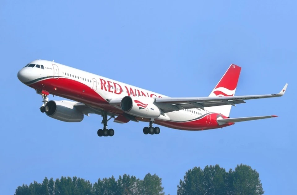 Фото: https://flyredwings.com/