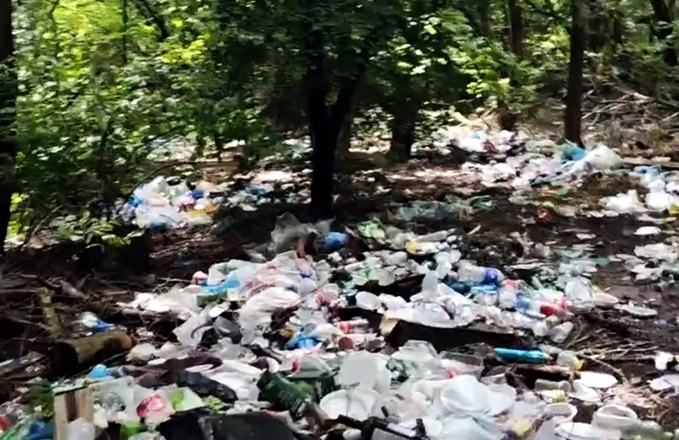 Среди зеленых деревьев горы мусора. Фото: соц. сети (Ростов-Главный"