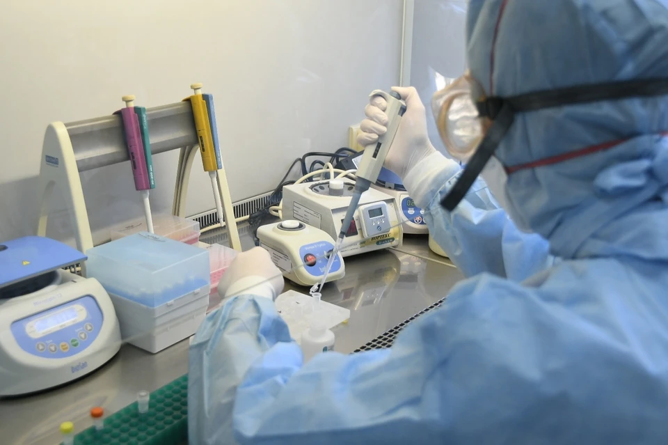 В Тульскую область завезли новые мутировавшие штаммы коронавируса