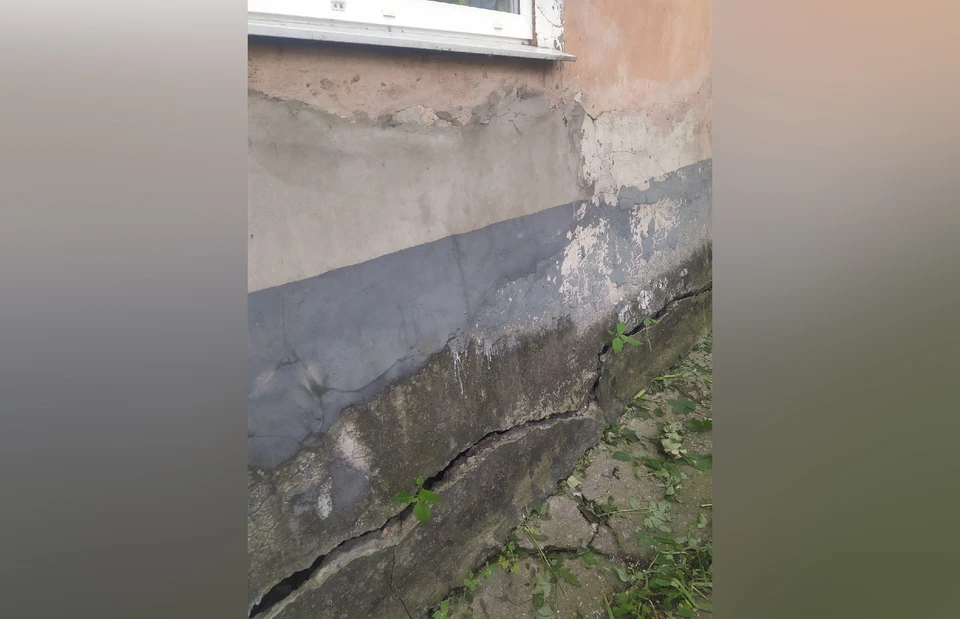 Фото: соцсети