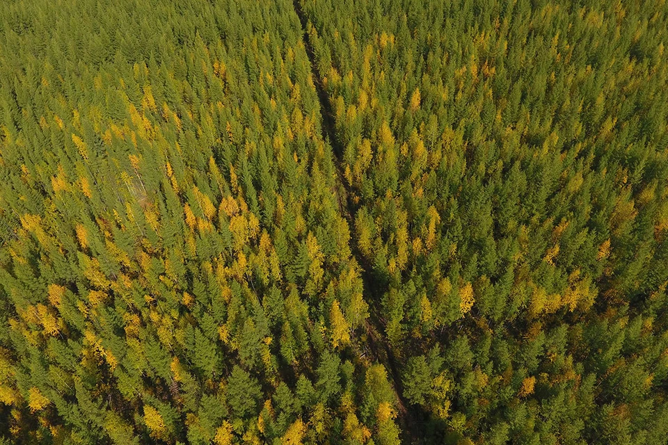 Фото из архива АО «ВЧНГ»