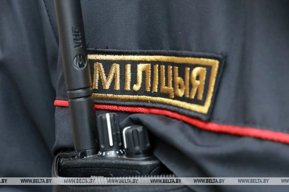 МВД предложило включить БЧБ-флаг и лозунг «Жыве Беларусь!» в список нацистской символики и артибутики. Фото: БЕЛТА