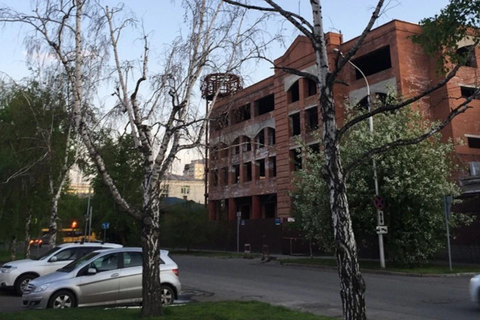 Исторический центр Красноярска очистят от больных деревьев. Фото: пресс-служба администрации города