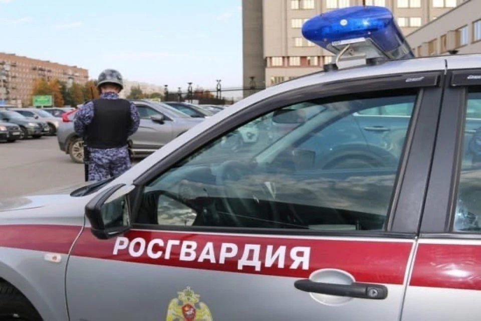 С водителей будут разбираться сотрудники ДПС. Фото: vk.com/rosgvard51