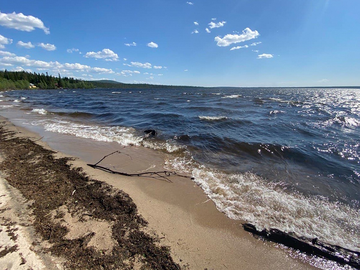 Какое море находится в мурманске