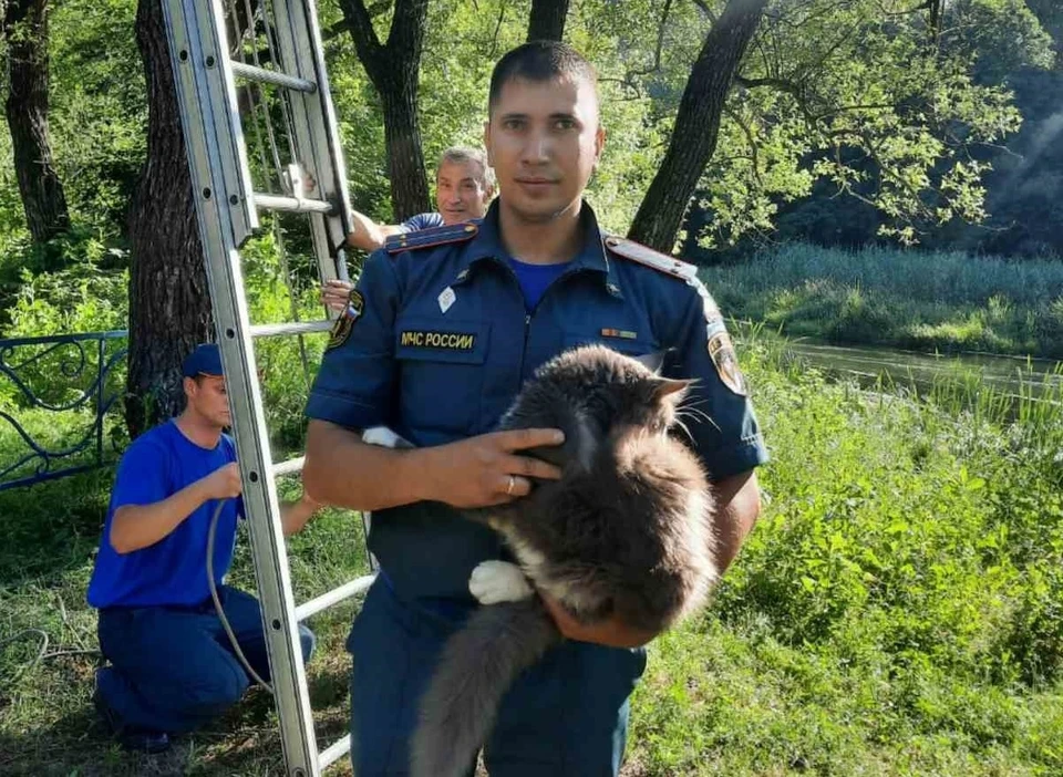 Спасенного кота пожарные передали в руки благодарному хозяину.