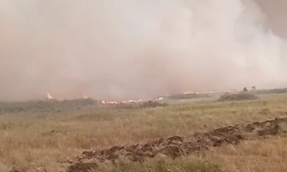 Лесные пожары полыхают сразу в трех районах Челябинской области. Фото: ГУ МЧС по региону