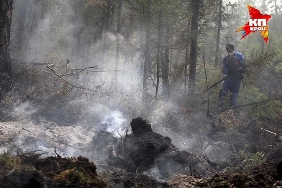 В Белорецком районе горит лес