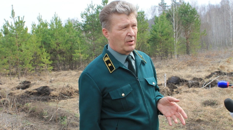 Андрей Стрелковский