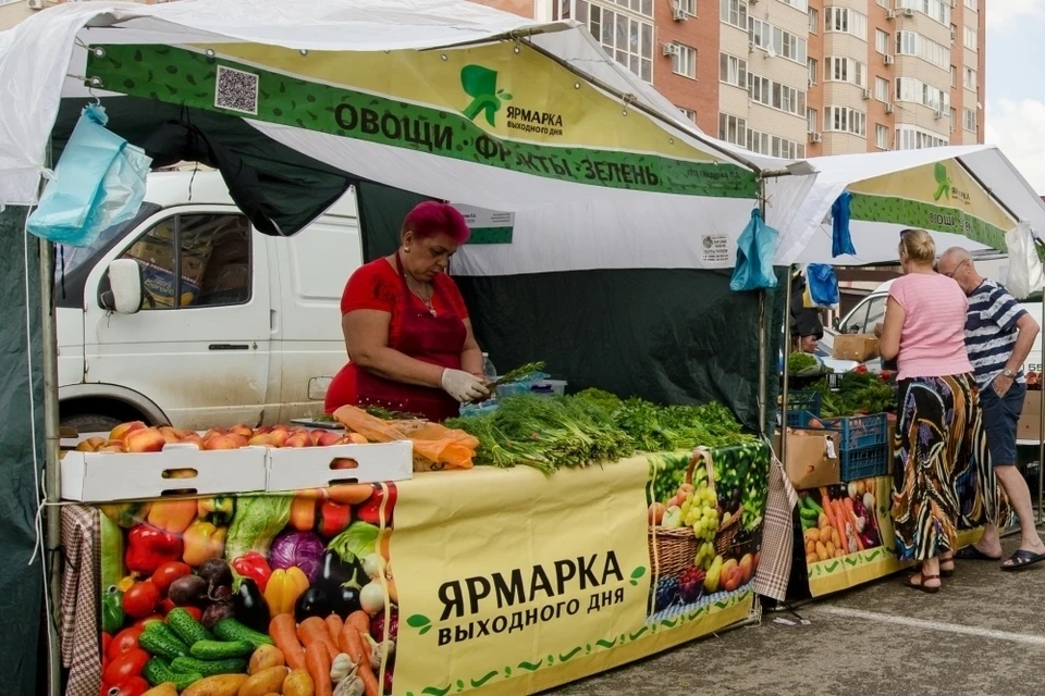 Фото: пресс-служба администрации Краснодара